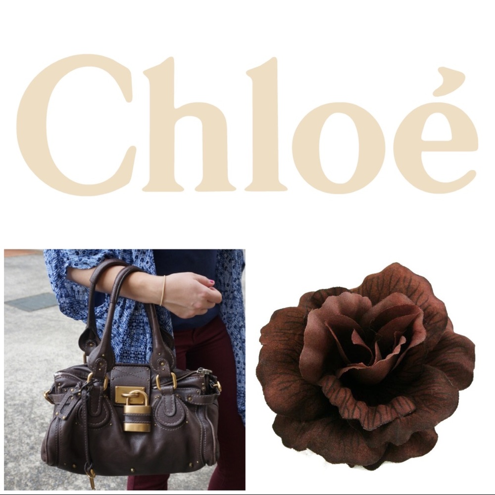 Chloe Paddington 💕💕SOLD💕💕